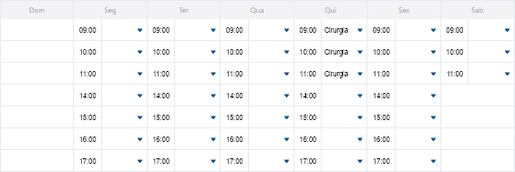 Programação da Agenda com tipo de compromisso definido